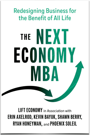 Next Economy MBA - Book Cover